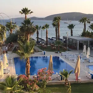 book here